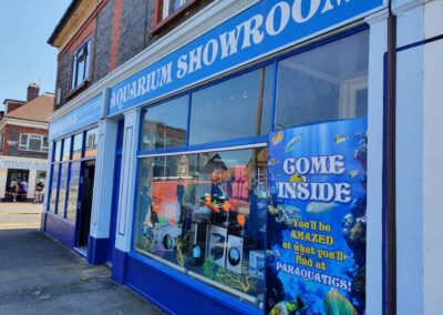 Portslade Paint Perfection - paint job for Paraquatics in Portland Road