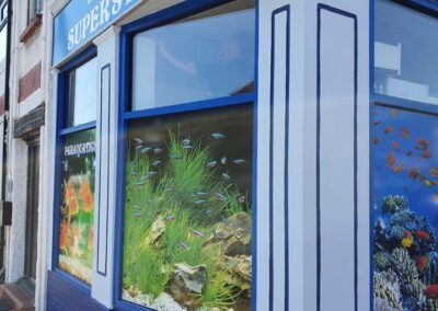 Portslade Paint Perfection - paint for Paraquatics in Portland Road